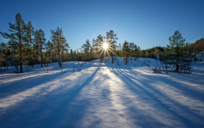 Лучи яркого зимнего солнца на снежной глади в лесу