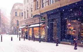 Snowfall in the street