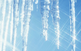 Sparkling icicles in winter