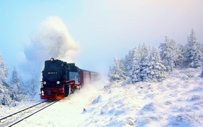 Steam locomotive in snowy woods