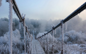 Suspension bridge covered with frost