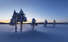 Восход зимнего солнца над снежной гладью