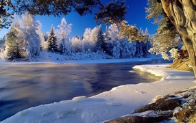 The river in the winter season