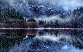 Winter forest reflected in the river