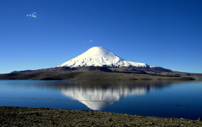 Озеро Чунгара на фоне заснеженной вершины вулкана Сахама, Чили 