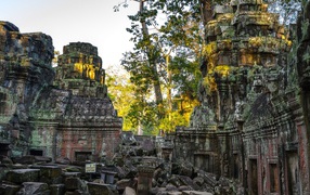 The ruins of the ancient temple of Angkor Wat