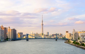 Панорама города Токио на фоне реки, Япония