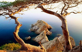 The coast of Tossa de Mar, Costa Brava. Spain