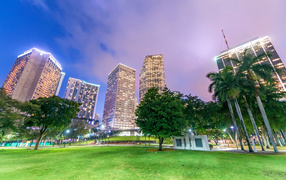 A view of the night skyscrapers of the city of Miami from the city park, Florida. USA