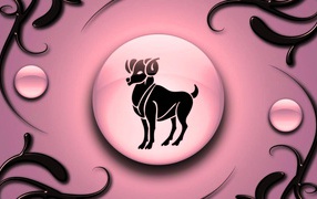 Aries on a pink background with black ornament