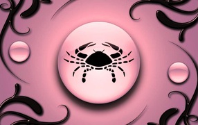Cancer on a pink background with black ornament