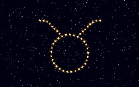 Star sign Taurus