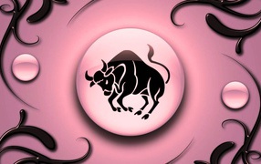 Taurus on a pink background with black ornament