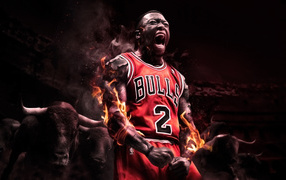 Basketball player Nate Robinson Chicago Bulls team 