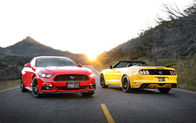Red and yellow Ford Mustang cars on the road