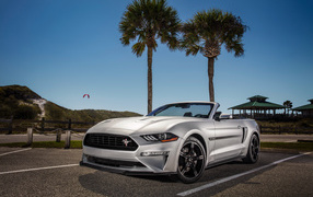 Silver Cabriolet Ford Mustang GT, 2019