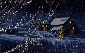 Красивые украшенные деревья на Рождество в деревне зимой