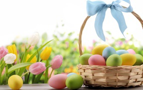 Basket of painted eggs with a blue bow on the background of tulips for Easter