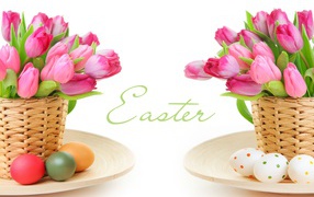 Bouquets of pink tulips with eggs on a white background for Easter holiday