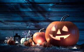Тыквы на праздник Хэллоуин, 31 октября
