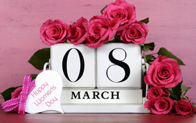 Red roses on a pink background on the International Women's Day