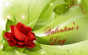 Графическая открытка с розой и надписью на день Святого Валентина