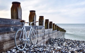 A bicycle stands and a bridge on the seashore