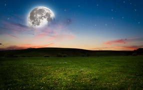 A big moon in the sky over a green meadow