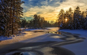 An ice-covered river with snow-covered firs along the banks at dawn