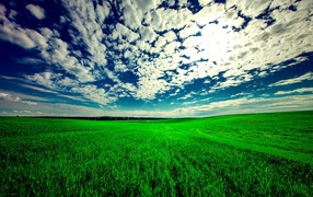 Beautiful white clouds in a blue sky over a green field.