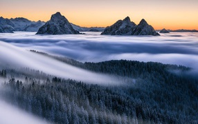 Туман покрывает лес и заснеженные верхушки гор