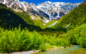 Mountain river in the background of snow-capped mountains with green vegetation
