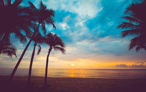 Закат солнца в небе на тропическом пляже