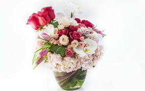 Beautiful bouquet of flowers in a vase on a white background