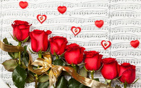 Красивые красные английские розы лежат на нотной тетради