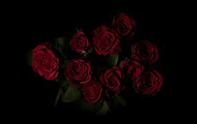 Bouquet of beautiful burgundy roses on a black background