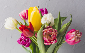 Букет красивых разноцветных тюльпанов у стены
