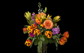 Букет тюльпанов с цветами герберы на черном фоне