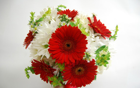 Bouquet of white chrysanthemums with red gerberas