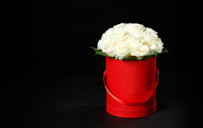 Букет белых роз в красном ведре на черном фоне