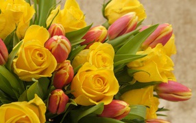 Букет желтых  роз с тюльпанами