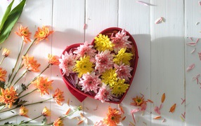 Box in the shape of heart with chrysanthemum flowers
