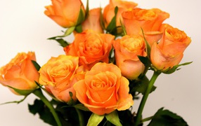 Праздничный букет оранжевых роз на сером фоне