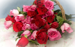 Красные и розовые розы в корзине
