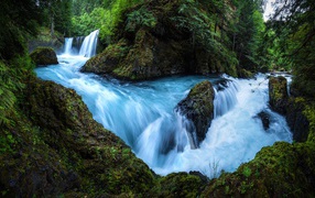Быстрый лесной водопад бежит по мокрым камням