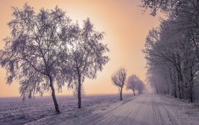 Покрытые инеем деревья у заснеженной дороги зимой