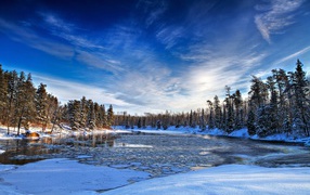 Покрытое льдом озеро в зимнем лесу под красивым голубым небом