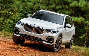 White BMW X5 2018 car in the woods
