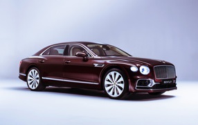 Burgundy car Bentley Flying Spur, 2019 year on a gray background