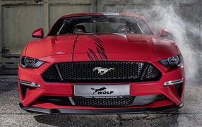 Red fast car Ford Mustang One Of 7, 2019 in the garage